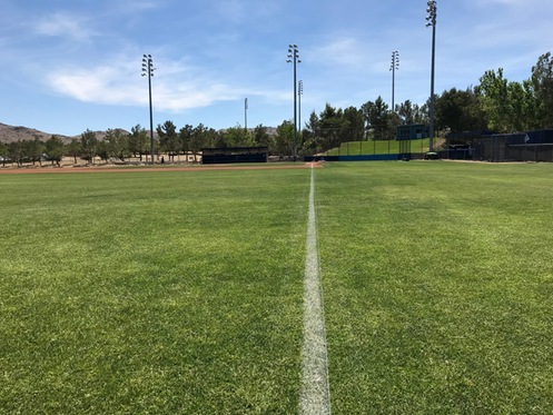 Left field line