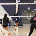 Coyotes Battle Panthers in Four Set Loss